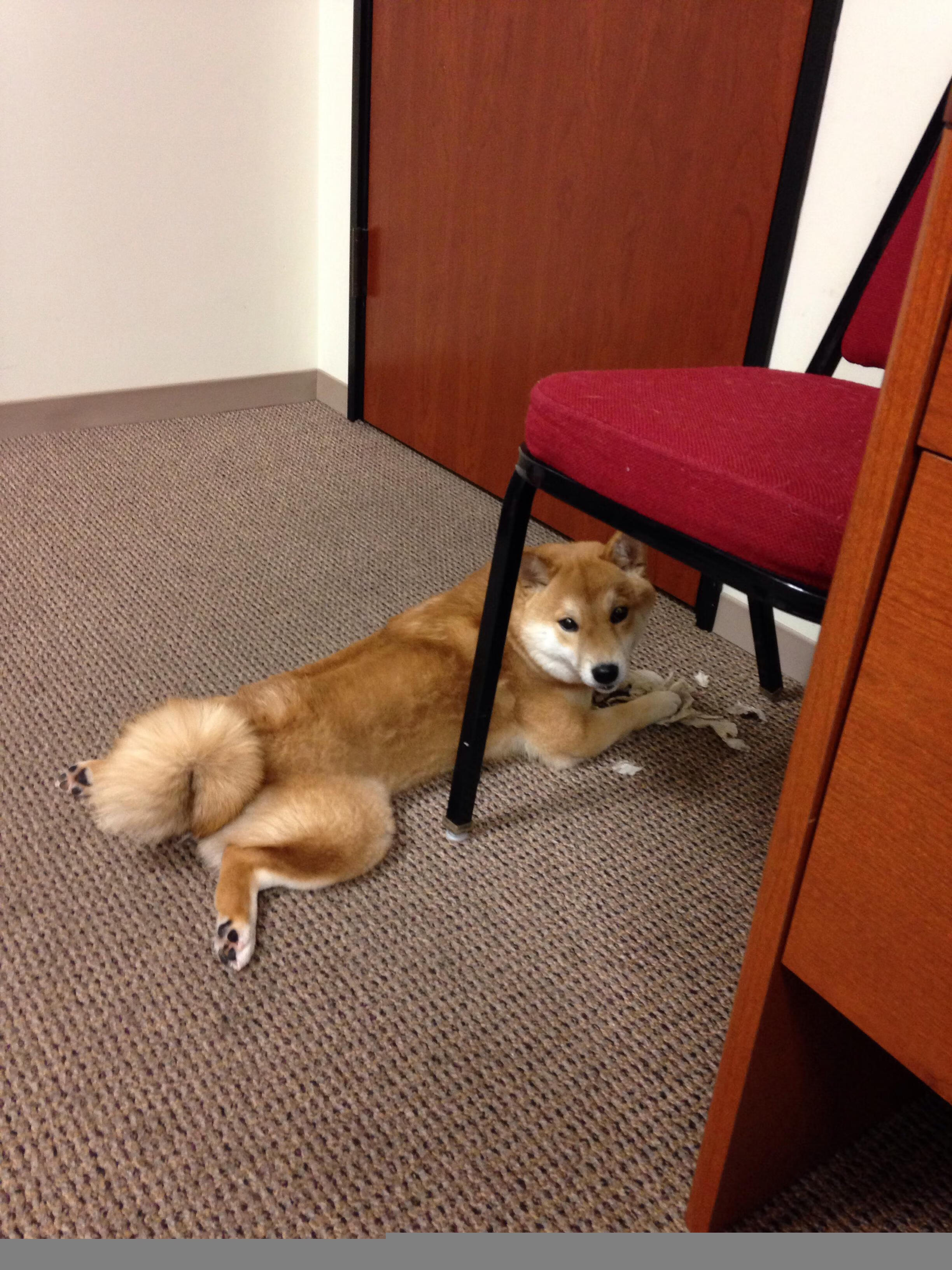 “2025世界运动会：短柄墙球成高新区全民健身馆亮点，选手们的脑力较量正在上演”