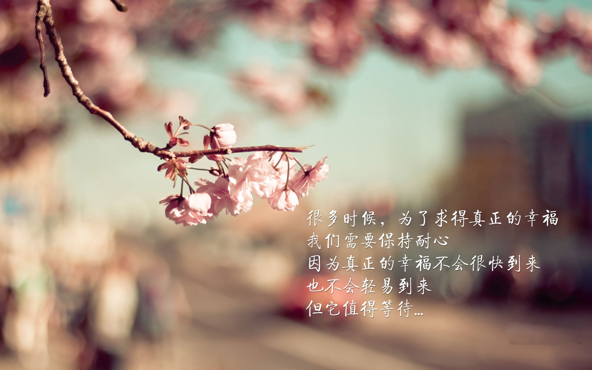 “2025世界运动会：短柄墙球成高新区全民健身馆亮点，选手们的脑力较量正在上演”