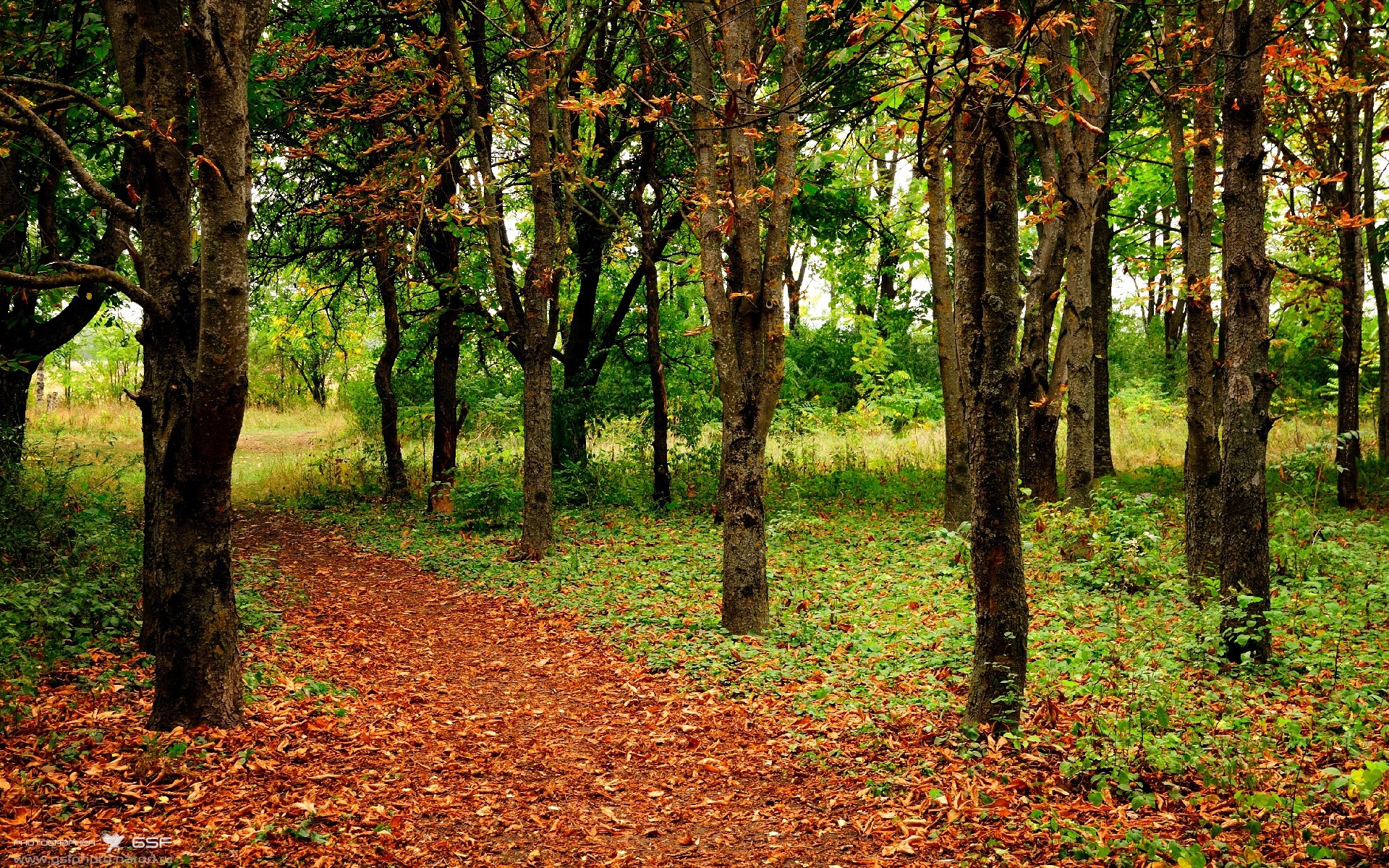 王薪凯三分准星稳定广东队攻防两端受益，王薪凯投三分视频