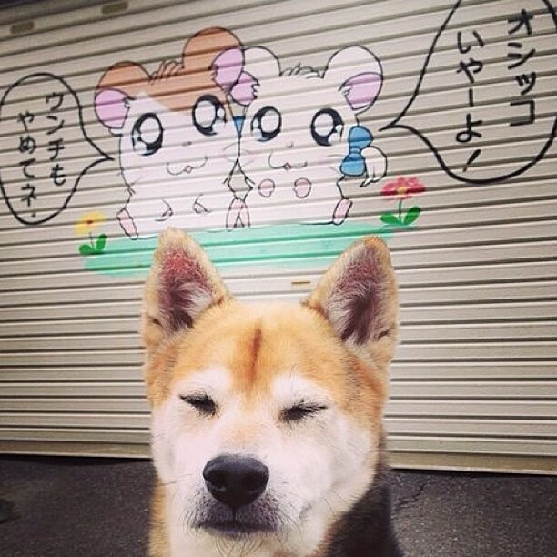 转身动作流畅,助力成绩突破,转身训练视频教程